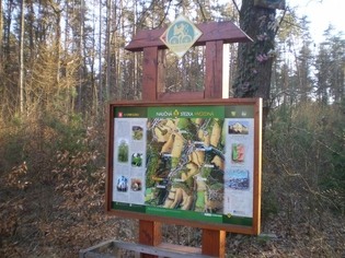 Naučná stezka Hvozdná