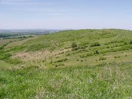 Národní přírodní památka Dunajovické kopce