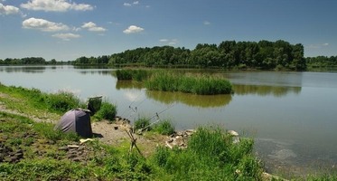 Rybaření na Novomlýnských nádržích