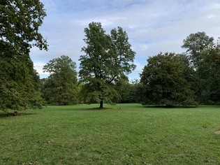 Lesopark Kunovský les