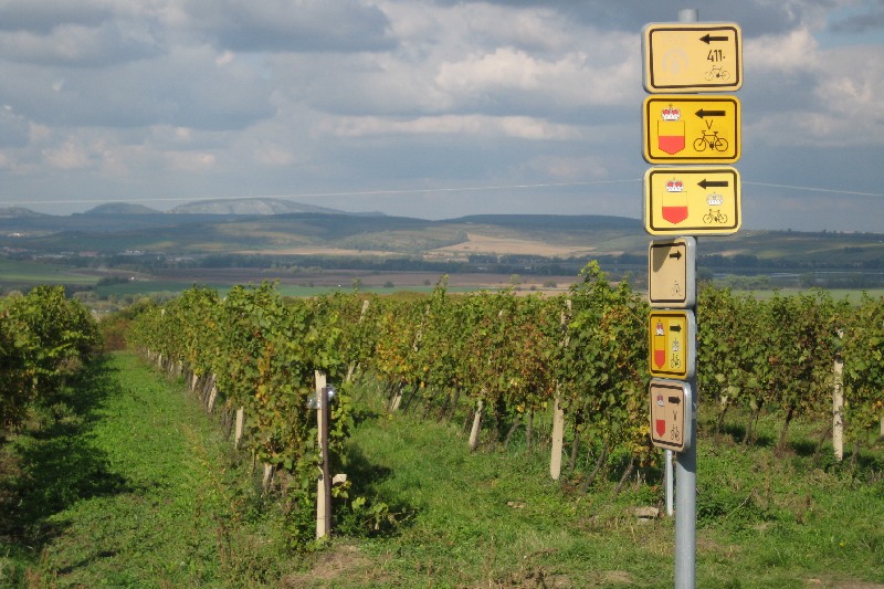 Velké putování za moravskými víny na kole