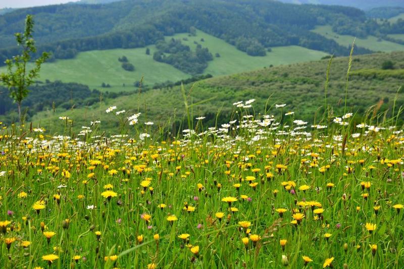 Glamping Luhačovice