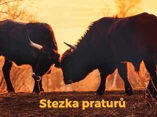 Stezka praturů