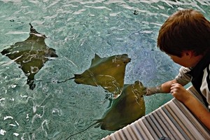 zátoka Rejnoků_foto Zoo Zlín