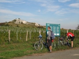 Vinařská naučná stezka Mikulov
