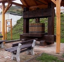 Naučná stezka Pavlovské vinice a vinné sklepy