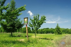 Dobré Pole – přírodní rezervace Slanisko Dobré Pole