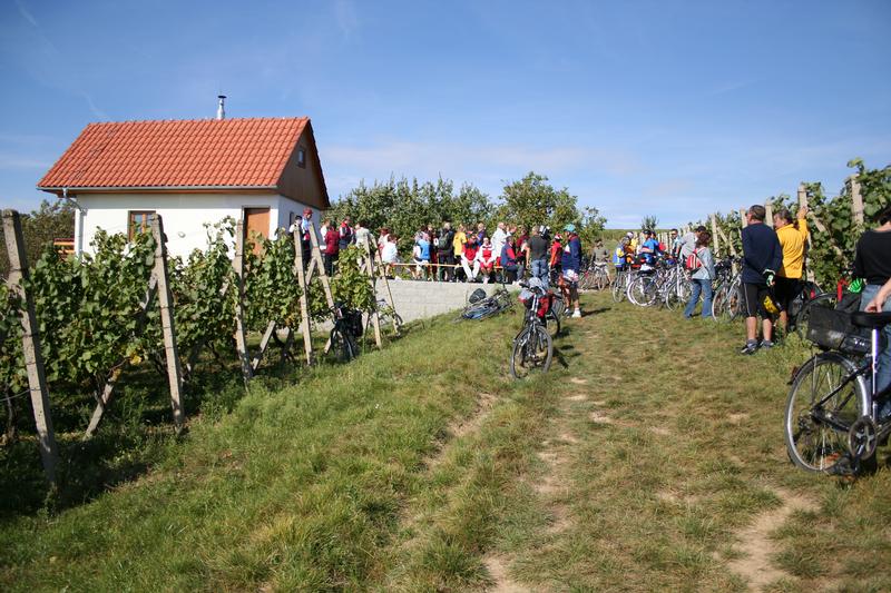 Vinařství rodiny Šupkovy