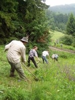 Kosení na Dobšeně